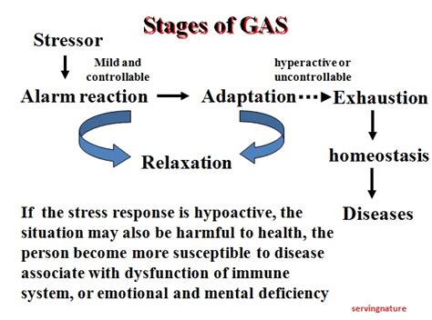 Healthy Body-Healthy Mind: What is Stress and stress related diseases?