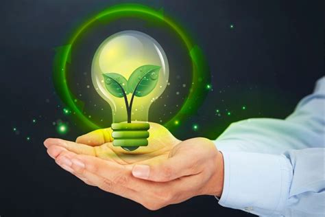 What is the Importance of Environmental Law? - eLawTalk