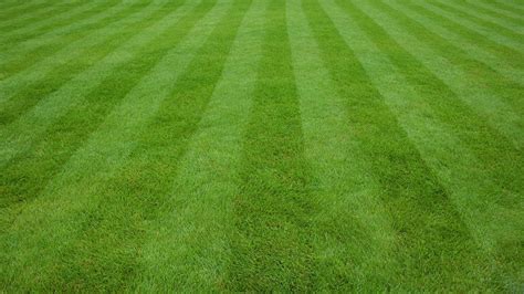 striped-lawn - Arrow Lawn Care