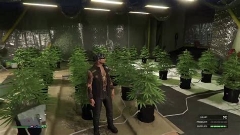 GTA Online (Scared 7) Weed farm (Part 3) (Ps4) - YouTube