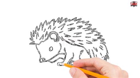 How to Draw a Hedgehog Step by Step Easy for Beginners/Kids - Simple ...