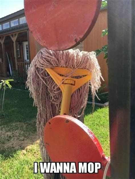 mop mop mophttp://bit.ly/2wTtJV #dog #funny #hilarious | Everyday objects, Funny pictures, Face