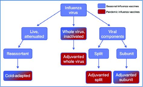 7 Types of influenza vaccine. The vaccines produced to combat influenza ...