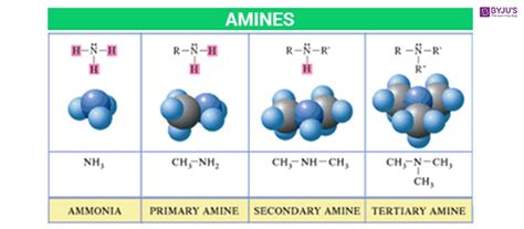 Amine Characteristics An aliphatic amine has no aromatic ring attached ...