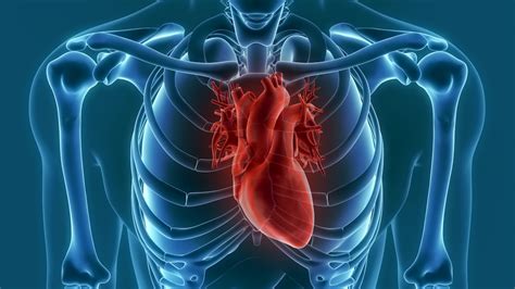 What Is Heart Failure and How Can It Be Treated? - CVRTI