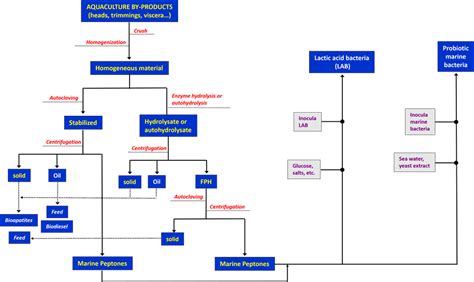 OLCreate: PUB_4829_1.0: Production of marine peptones | OLCreate