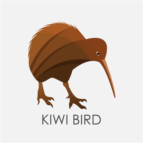 Modern colorful Kiwi bird logo design template vector illustration ...