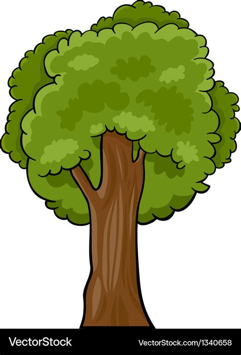 Cartoon of deciduous tree Royalty Free Vector Image