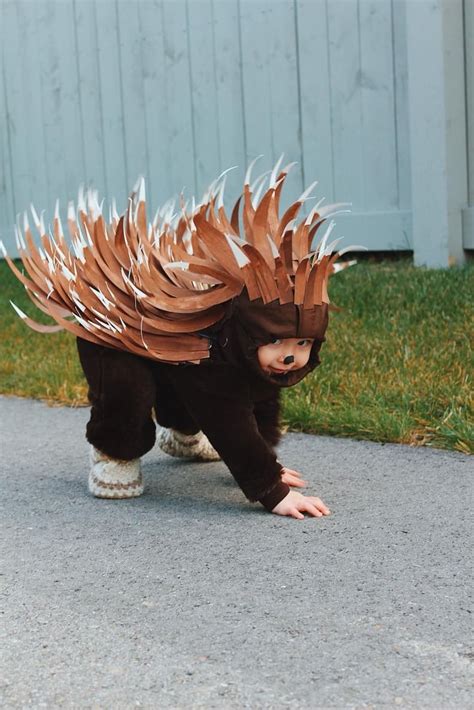 DIY Toddler Porcupine Costume For Less Than $5 | PS Family