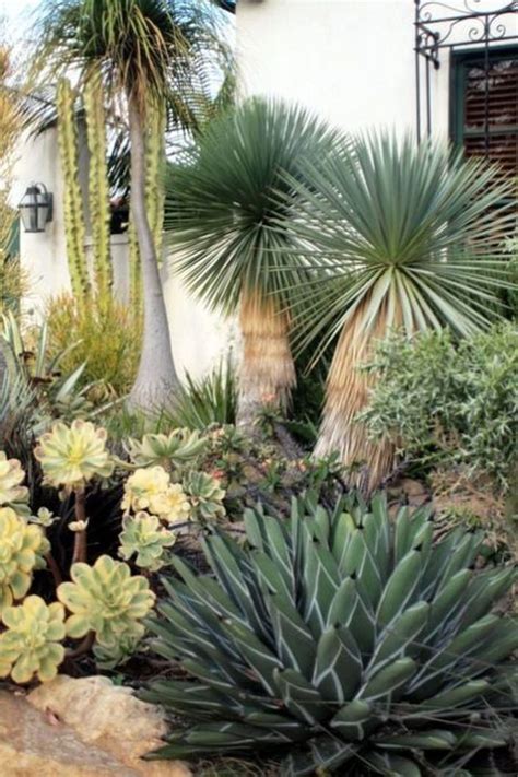 Best Ways To Makes Backyard Cactus Garden Ideas – DECOOMO