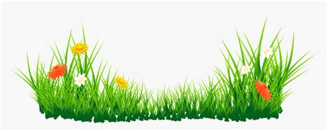 Grass Png Hd Images Download, Transparent Png - kindpng