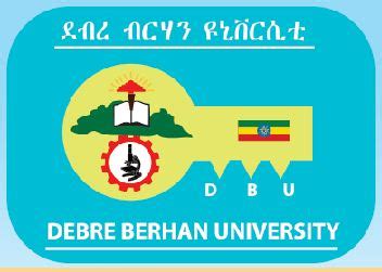 Deber Berhan University