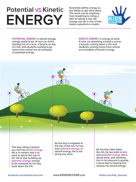 Infographic: Potential vs. Kinetic Energy - Kids Discover