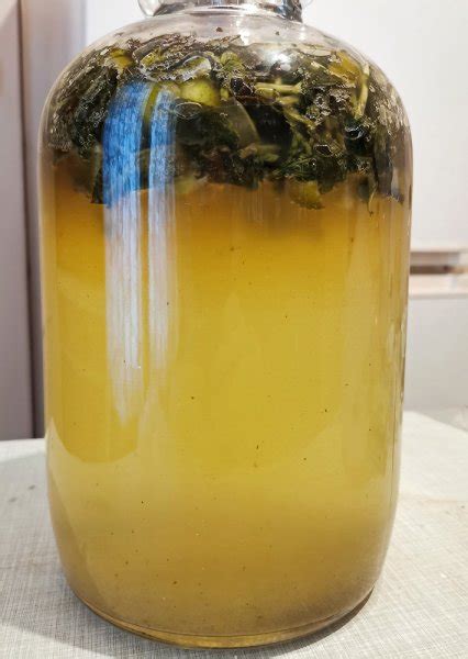 Mojito Kilju | Page 5 | The Homebrew Forum - Homebrewing Forums