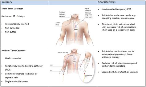 Intravenous Catheter Types