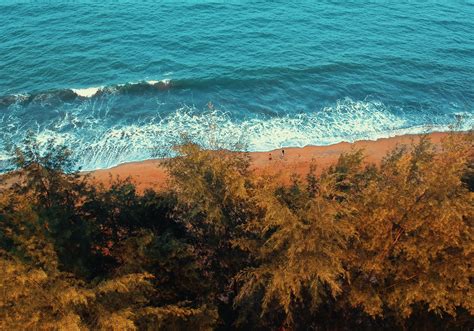 Bird's Eye View of Beach · Free Stock Photo