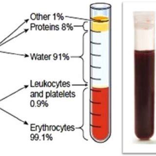 Whole blood and its components. Courtesy:... | Download Scientific Diagram