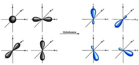 Hybridization