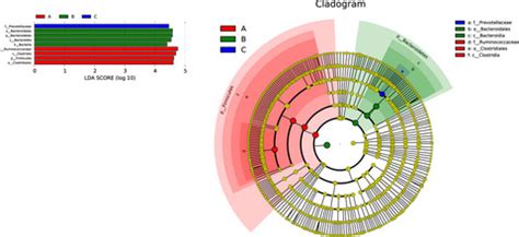 Analysis of gut microbiota in three species belonging to different genera (Hemitragus, Pseudois ...