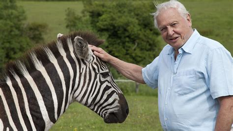 David Attenborough’s Natural Curiosities | BBC America