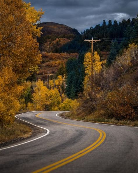 Stunning Fall Colors on Elk River Road