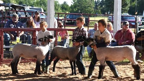 Cheboygan County Fair