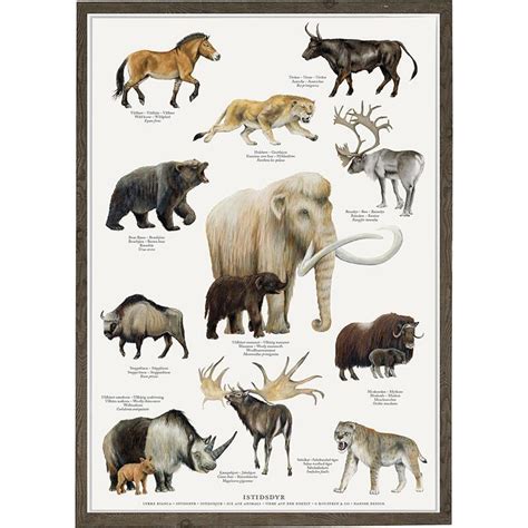 Ice Age Animals - Poster A2, POSTERS, €13.27, POSTERS / POSTERS ...