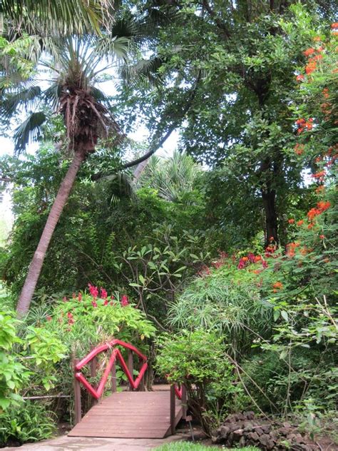 Le Jardin d'Eden, un paradis à la Réunion - La terre est un jardin