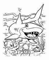 Free shark Drawing To Download And color  Shark Coloring Pages sketch template