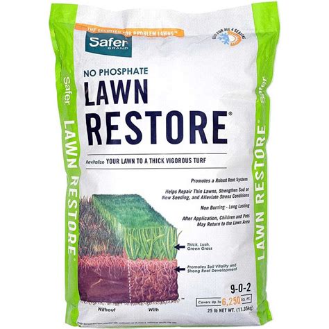 Organic Lawn Fertilizer: 7 Best Picks | The Family Handyman