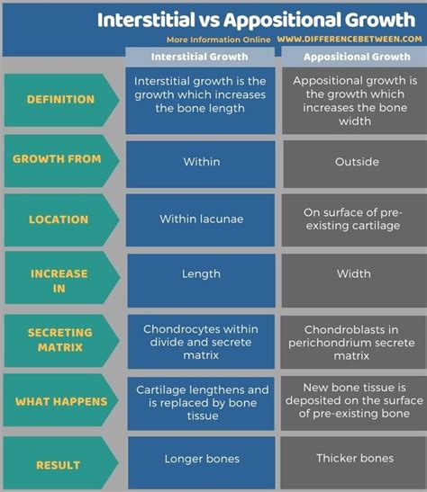 Difference Between Interstitial and Appositional Growth | Compare the ...