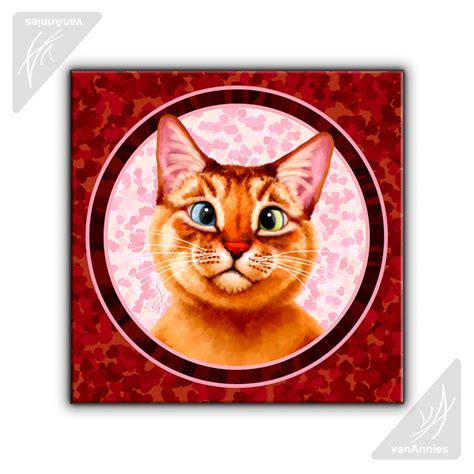 Perfect to Me | Cross Eyed Siamese Cat Art Prints - Chaos in Color
