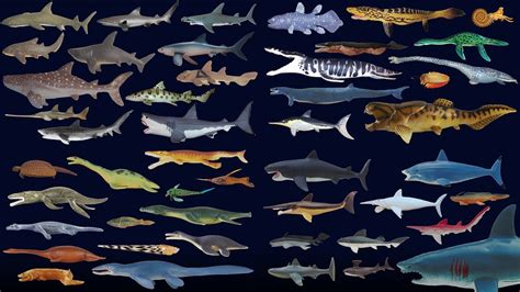 Sharks and Prehistoric Sea Life Collection - The Kids' Picture Show (Fun & Educational) - YouTube