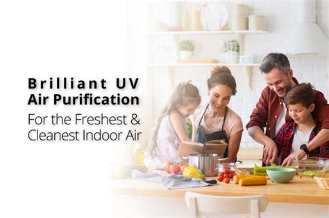 Best Air Purification System Products and Services | Unique Air