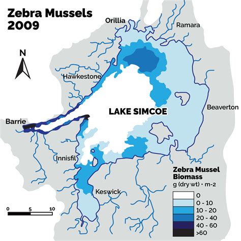 Lake Simcoe Shore Fishing Map New River Kayaking Map - Bank2home.com