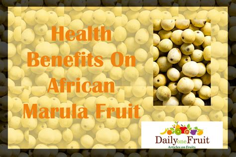 Health benefits of Marula Fruit - dailyonefruit