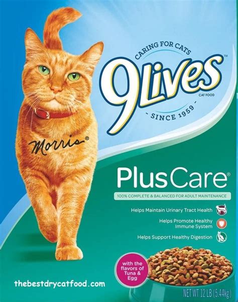 Best Dry Cat Food For Urinary Tract Health Reviews & Buyer Guide