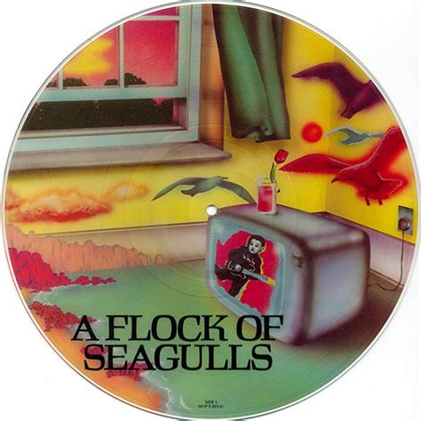 A Flock Of Seagulls - A Flock Of Seagulls (Vinyl, LP, Album, Picture Disc, Limited Edition ...