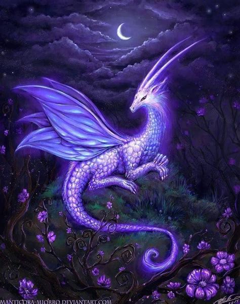 Pin by Hannah Bowers on DRAGONS | Dragon pictures, Mythical creatures art, Mystical animals