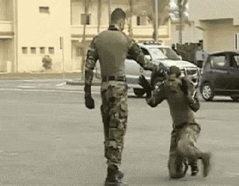 Military Fails And Wins (23 gifs)