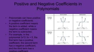 Introduction to Polynomials.pptx | Free Download