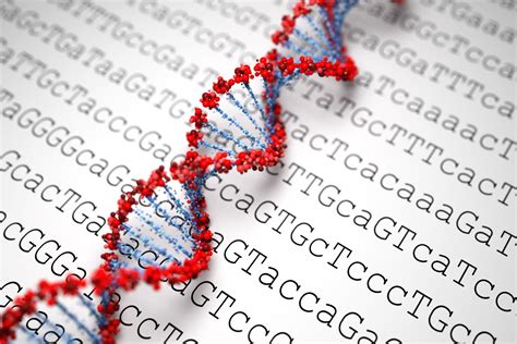 Genome Sequencing - Know The Scientific Approach Of DNA Analysis – MelixGX