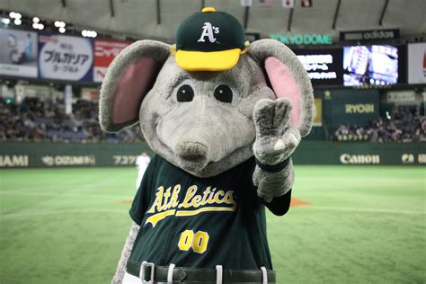 Oakland A's Stomper | Yomiuri giants, Oakland athletics, Oakland