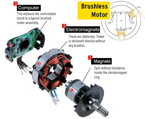 Brushless Generator Wiring Diagram