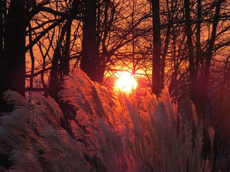 sunrise in SW Ohio - photo by jlipps | Photo, Sunrise, Celestial