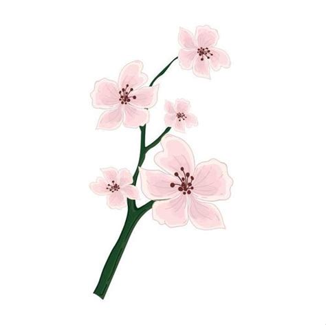 Plum blossom watercolor painting vector free download