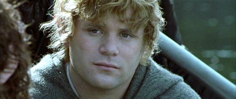 Samwise Gamgee - Samwise Gamgee Image (12089114) - Fanpop