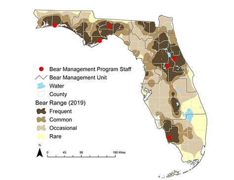 Managing Florida's Bears | FWC