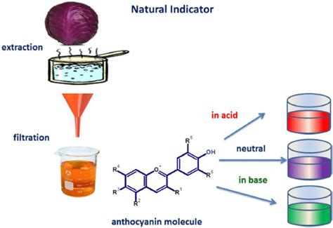 anthocyanin extraction methods