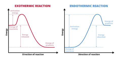 Vector Graphs Or Charts Of Endothermic And Exothermic Reactions Isolated On White Exo And Endo ...